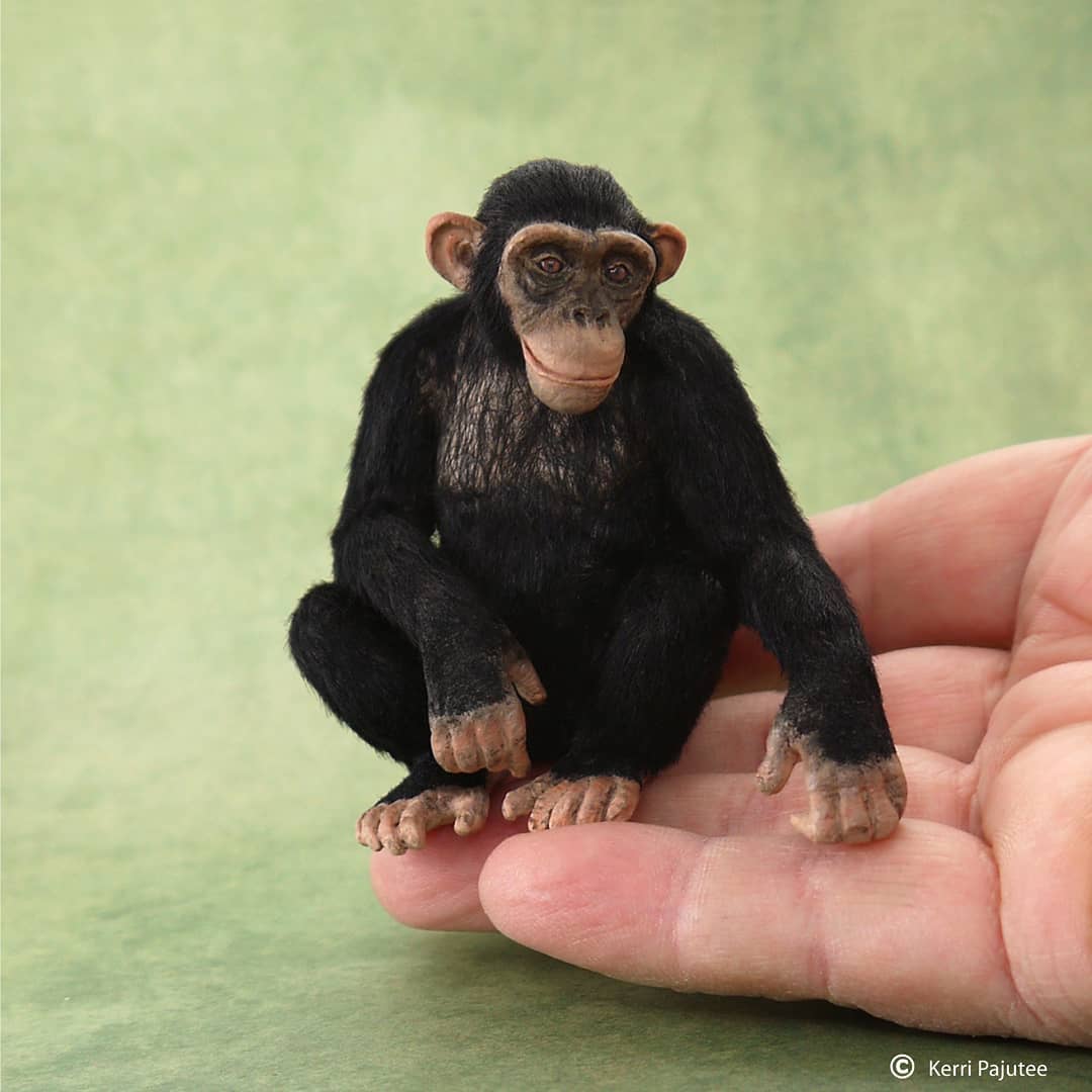 Amazingly Realistic Miniature Animal Sculptures By Kerri Pajutee (18)