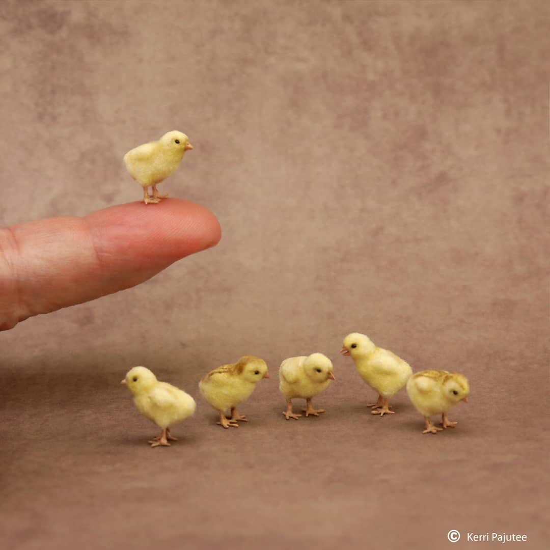 Amazingly Realistic Miniature Animal Sculptures By Kerri Pajutee (24)