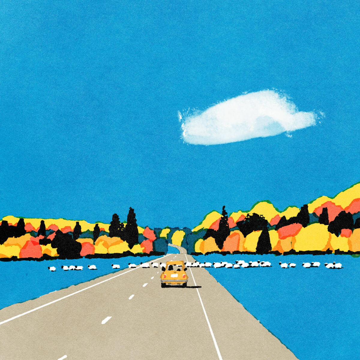 Drive Safe A Marvelous Illustration Series By Kento Iida 5