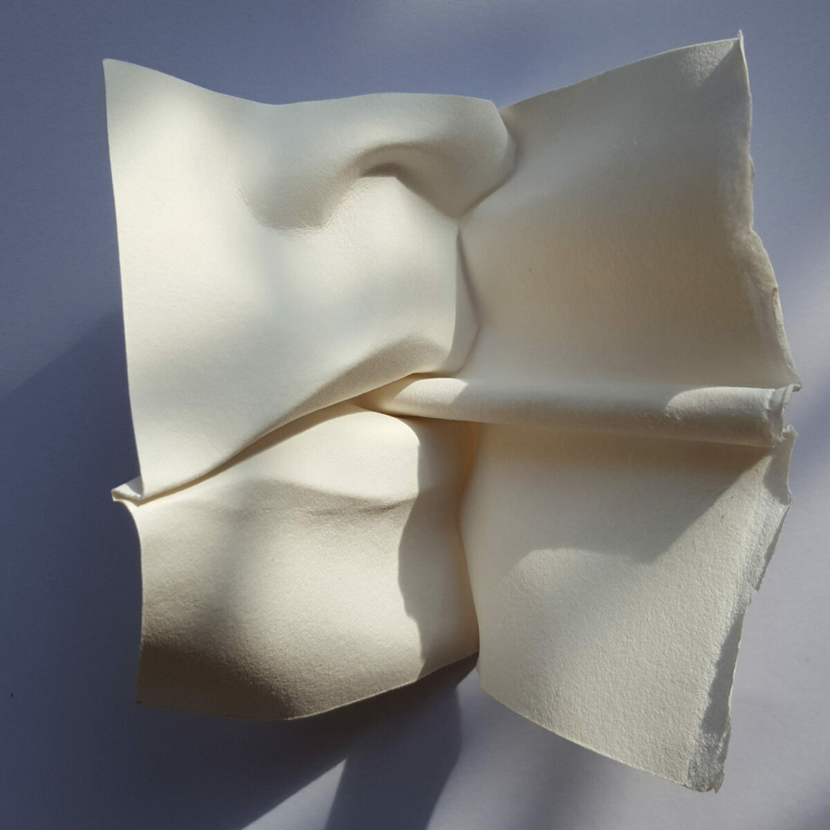 Fascinating Facial Sculptures Made From Folded Paper Sheets By Polly Verity (14)