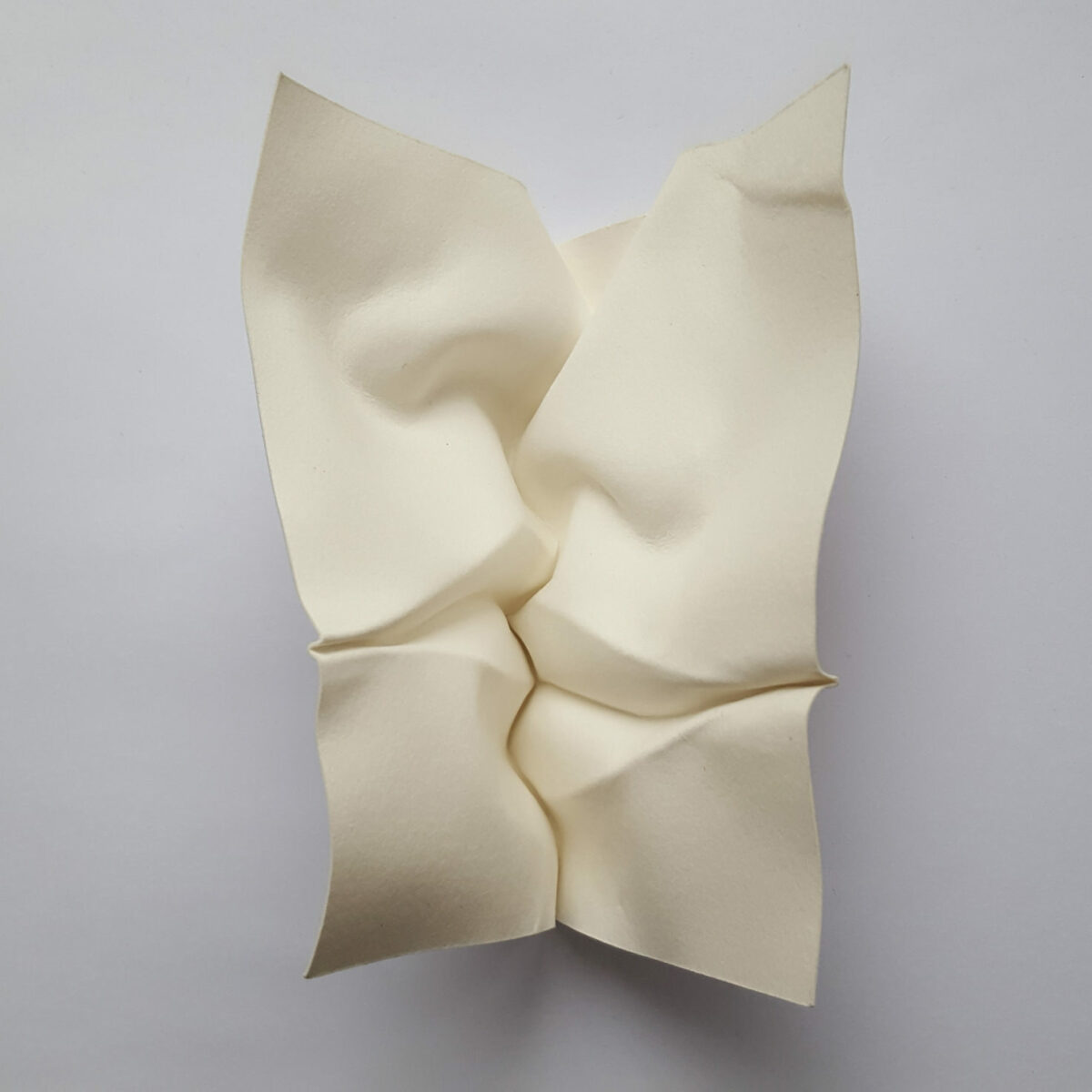 Fascinating Facial Sculptures Made From Folded Paper Sheets By Polly Verity (18)