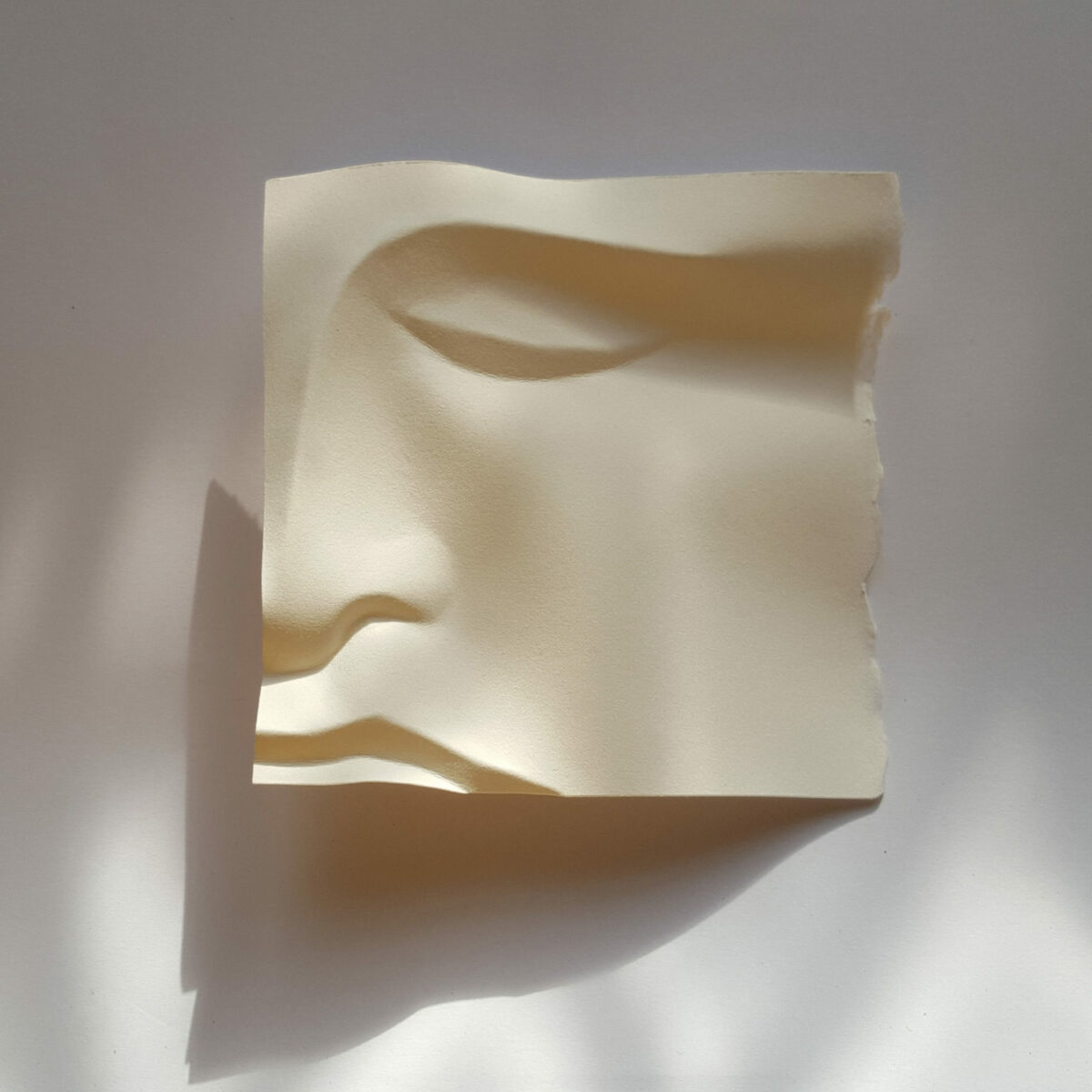 Fascinating Facial Sculptures Made From Folded Paper Sheets By Polly Verity (7)