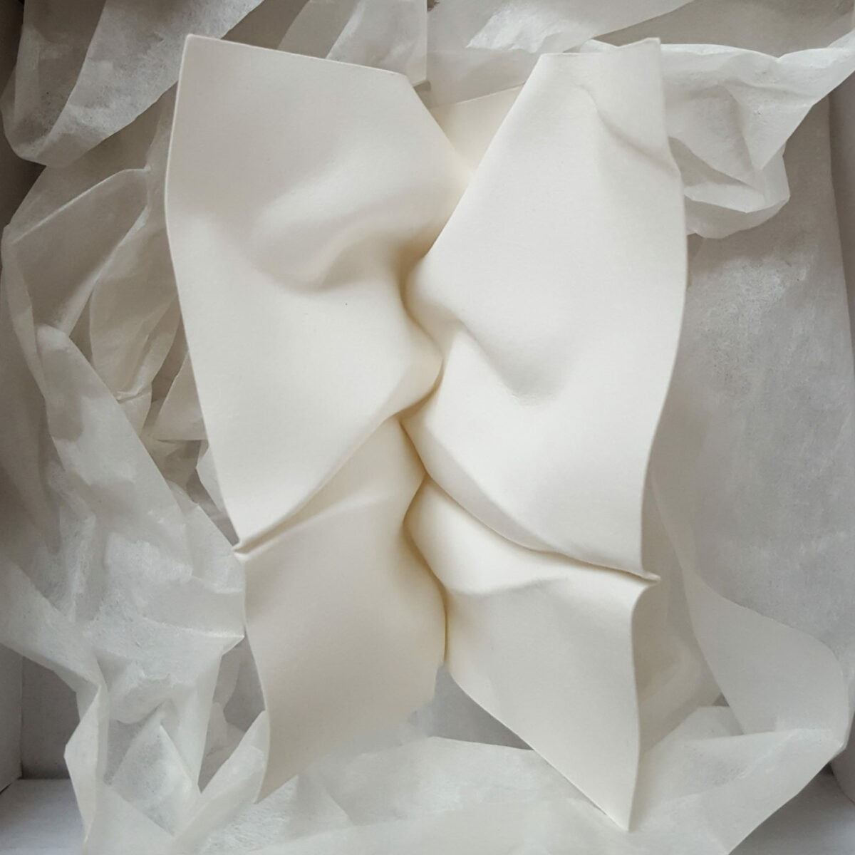 Fascinating Facial Sculptures Made From Folded Paper Sheets By Polly Verity (8)