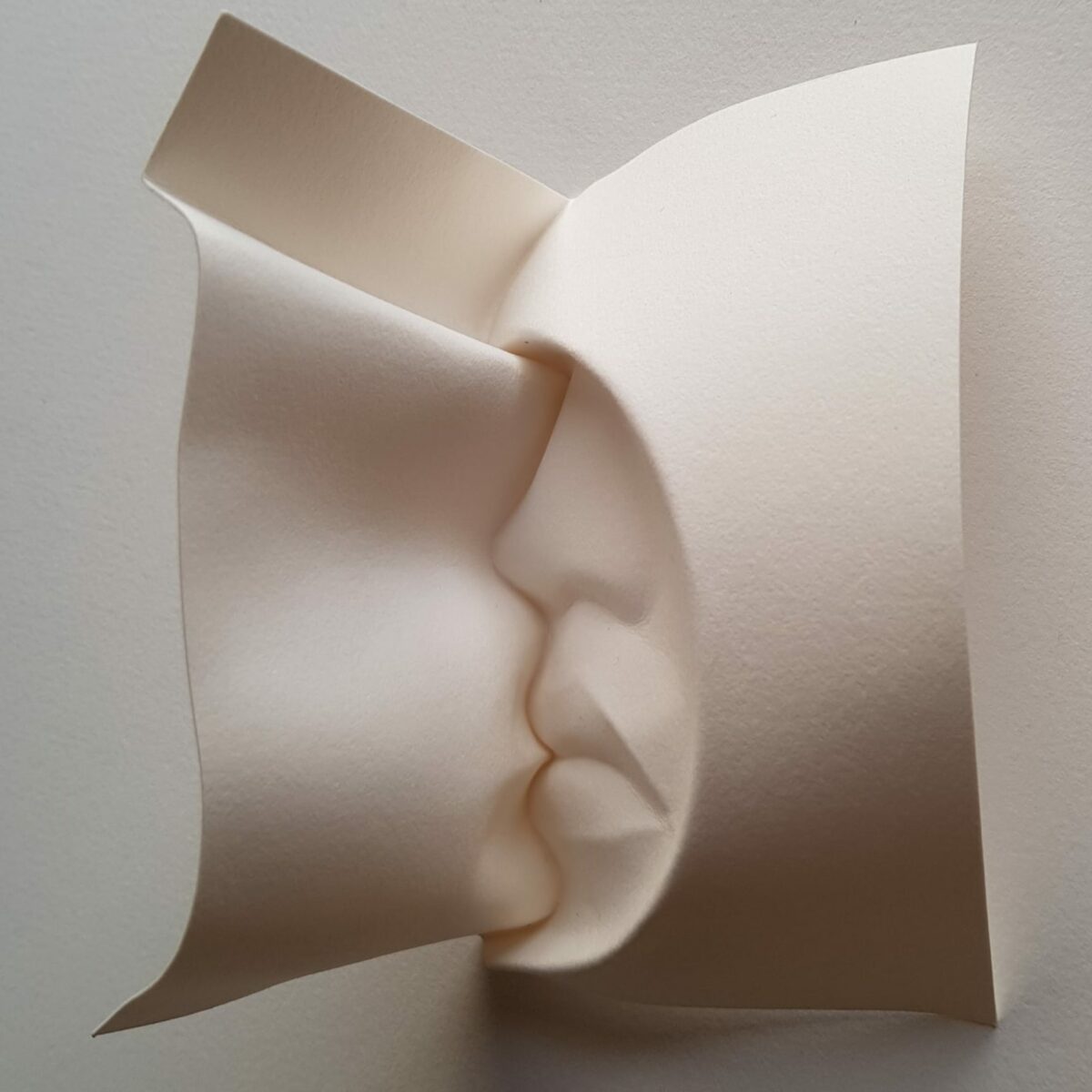 Fascinating Facial Sculptures Made From Folded Paper Sheets By Polly Verity (9)