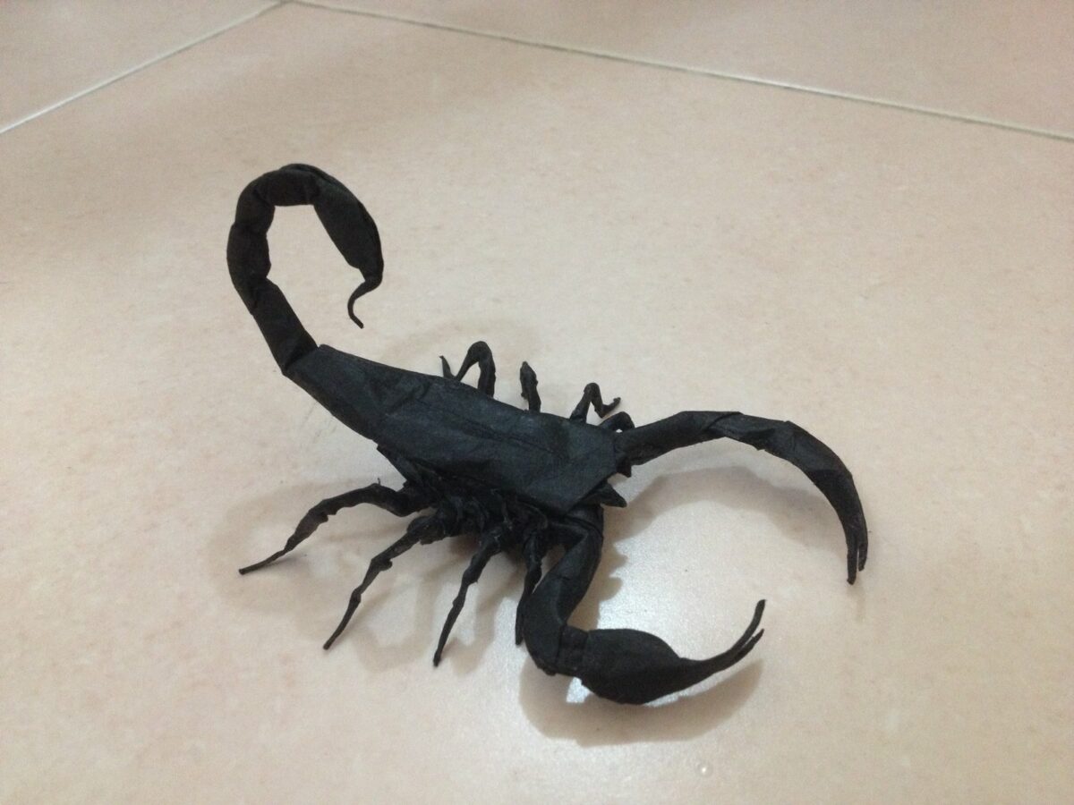 Incredibly Intricate Dinosaur And Creature Origami By Adam Tran (4)