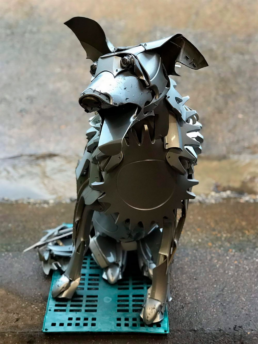 Old Hubcaps Transformed Into Incredible Animal Sculptures By Ptolemy Elrington (15)