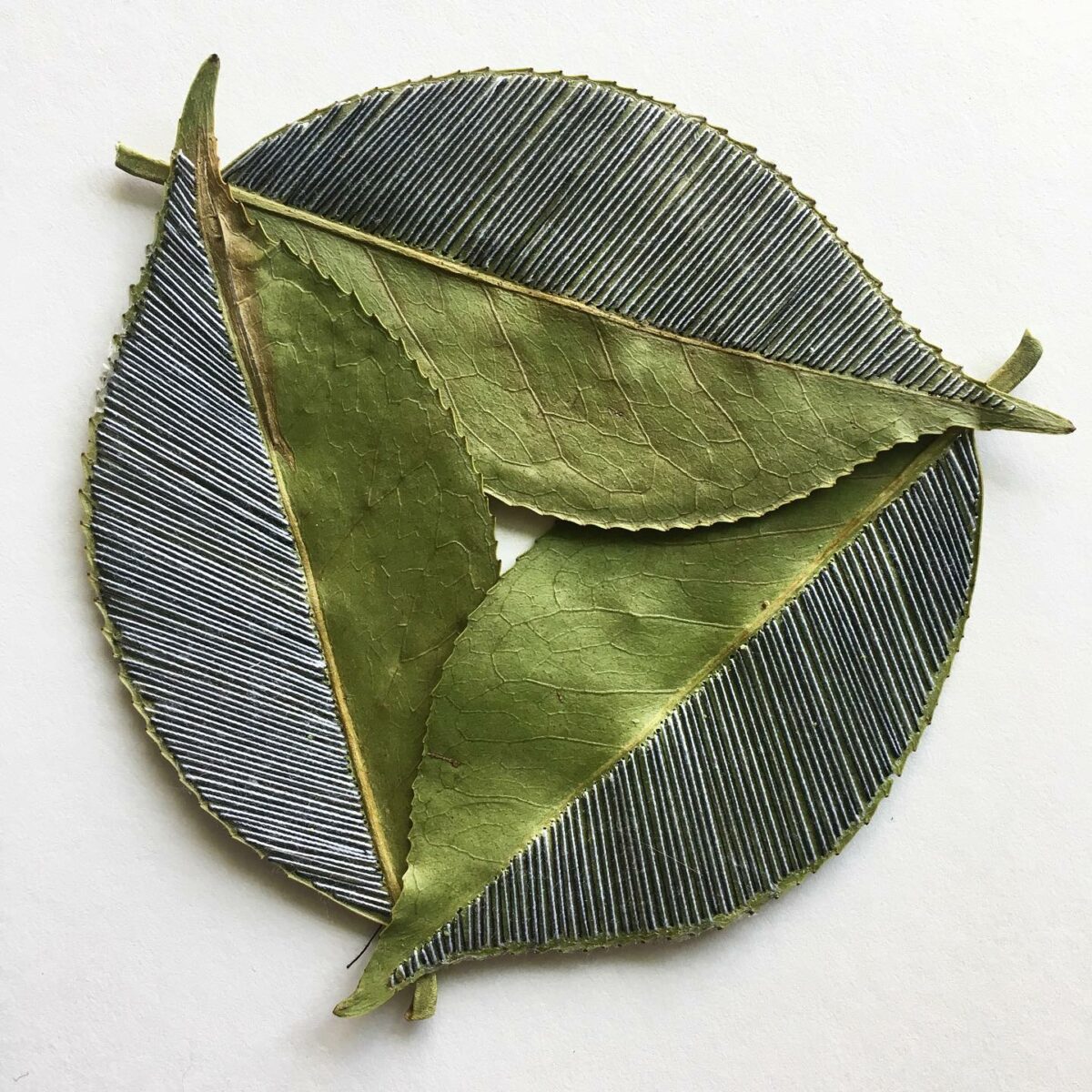 The Fascinating Embroidered Leaf Art Of Hillary Waters Fayle (19)