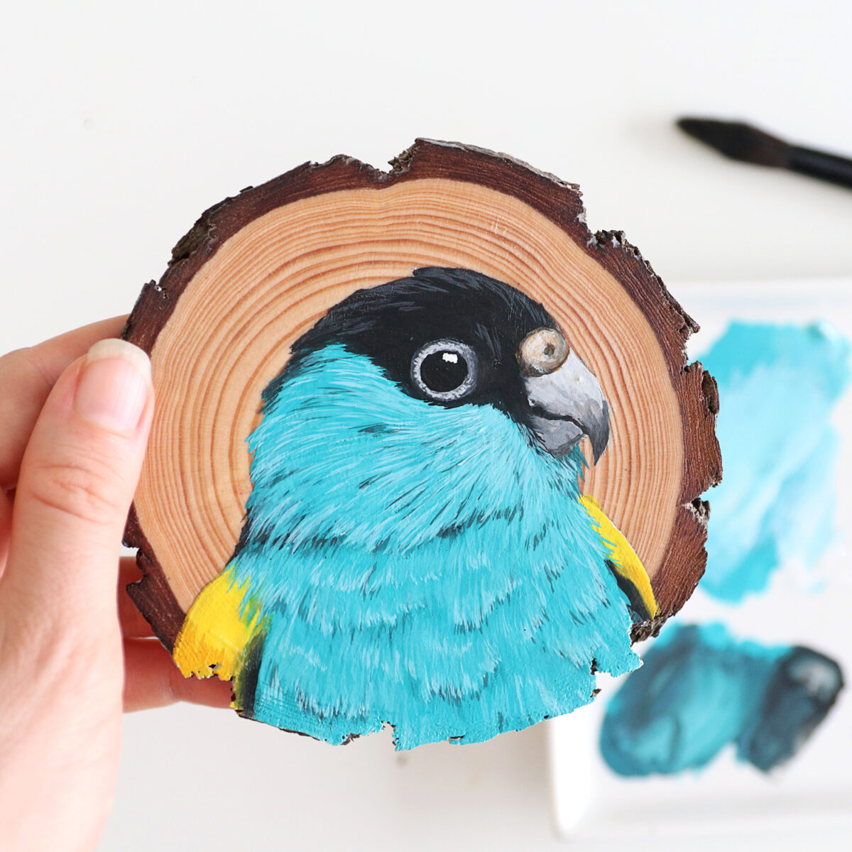 100 Days Of Birds A Marvelous Series Of Gouache On Wood Paintings By Deanna Maree (13)
