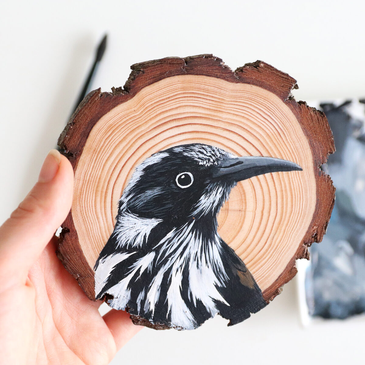 100 Days Of Birds A Marvelous Series Of Gouache On Wood Paintings By Deanna Maree (16)