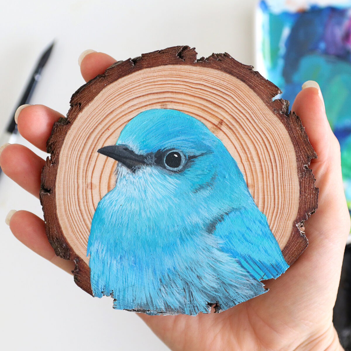 100 Days Of Birds A Marvelous Series Of Gouache On Wood Paintings By Deanna Maree (24)