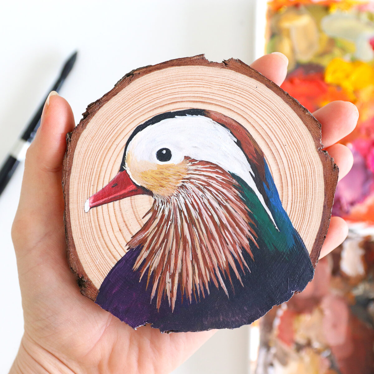 100 Days Of Birds A Marvelous Series Of Gouache On Wood Paintings By Deanna Maree (25)