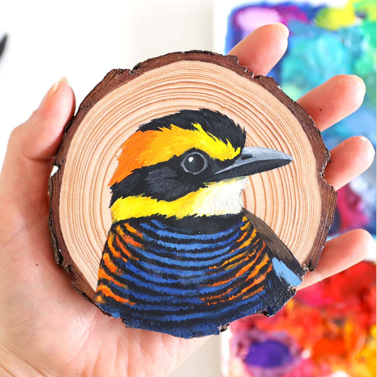 100 Days Of Birds A Marvelous Series Of Gouache On Wood Paintings By Deanna Maree (27)