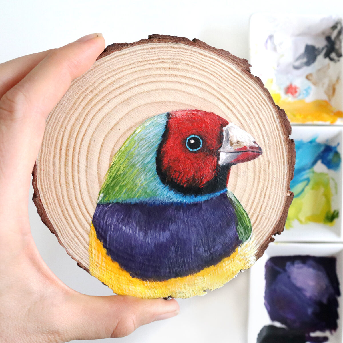 100 Days Of Birds A Marvelous Series Of Gouache On Wood Paintings By Deanna Maree (3)