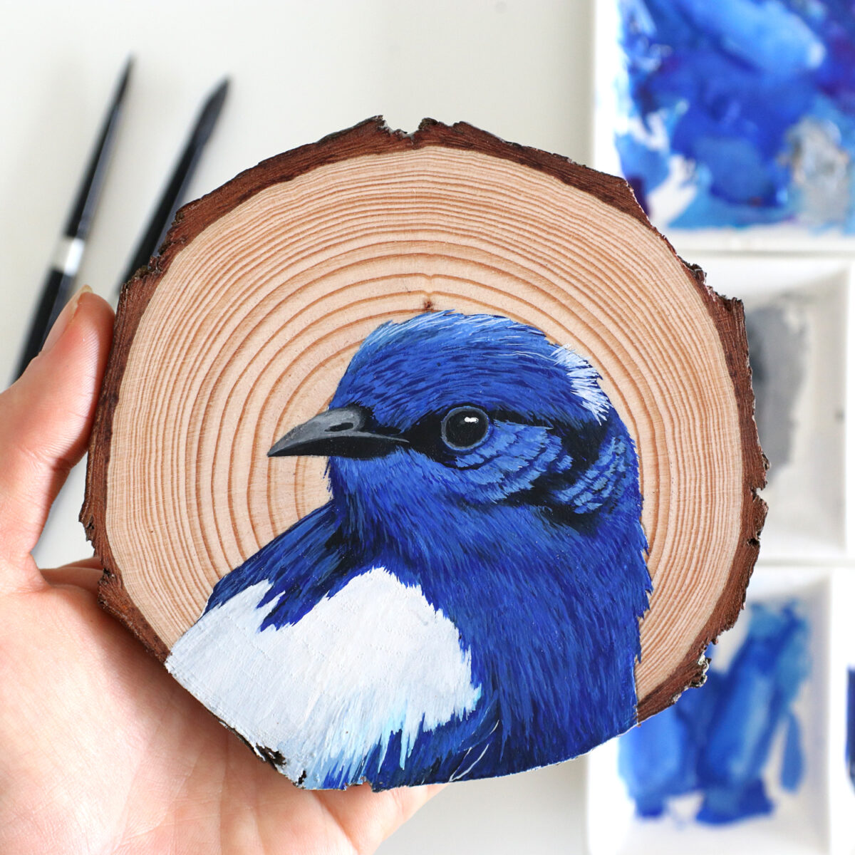 100 Days Of Birds A Marvelous Series Of Gouache On Wood Paintings By Deanna Maree (9)