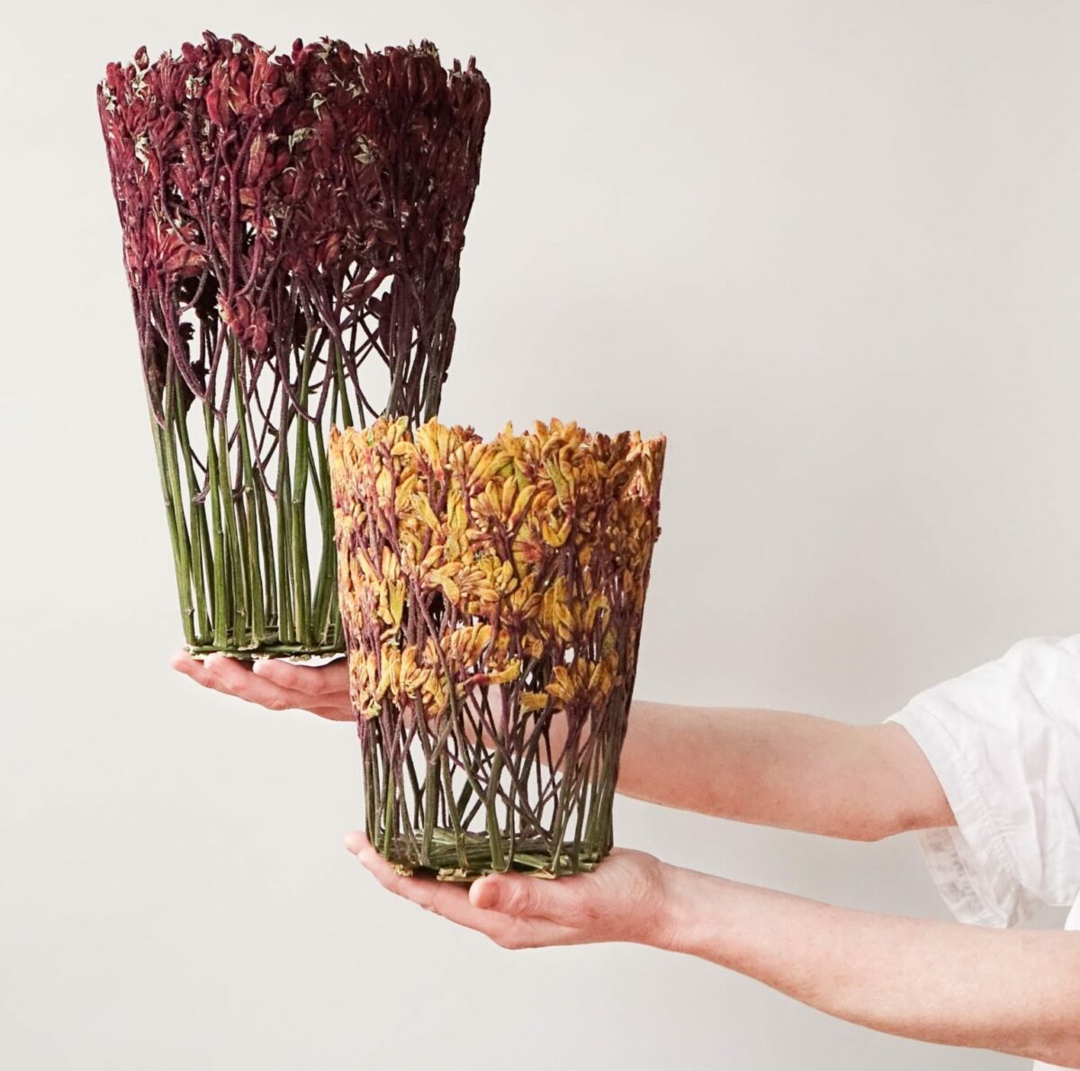 Sculptor of flowers: how Shannon Clegg makes art from pressed flowers -  Gardens Illustrated
