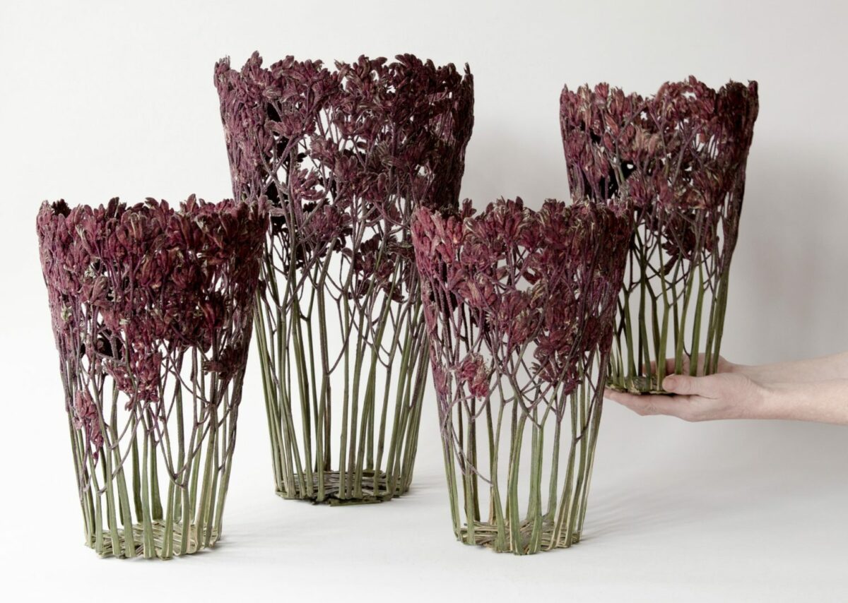 Bouquet Delicate Sculptural Vessels Made Of Dried And Pressed Flowers By Shannon Clegg (6)