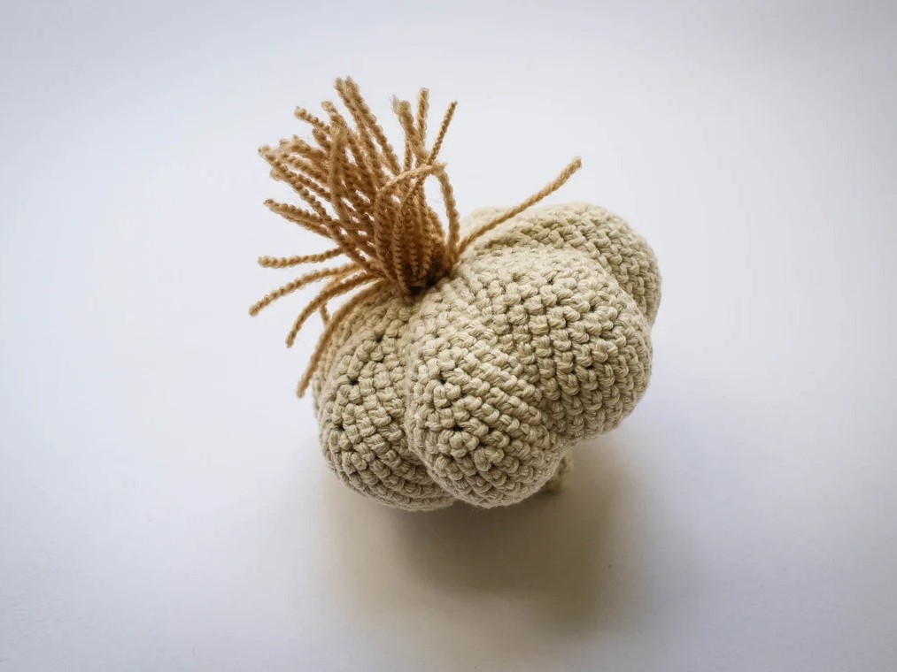 Incredibly Realistic Knit Fruits And Vegetables By Anastasija (2)