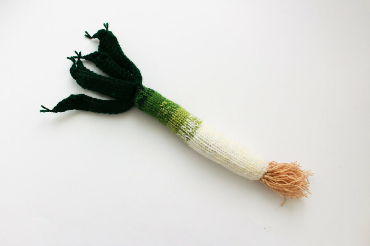 Incredibly Realistic Knit Fruits And Vegetables By Anastasija (7)