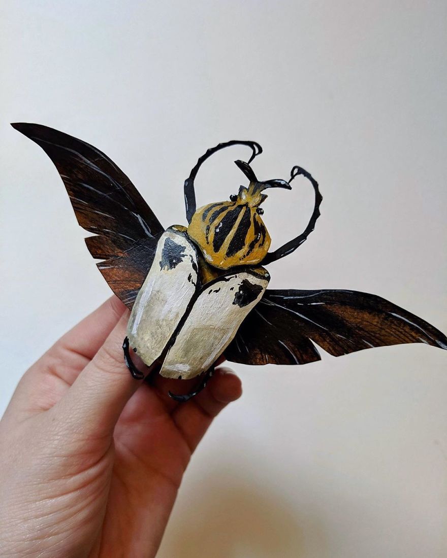 Intricate Paper Sculptures Of Butterflies And Beetles By Kerilynn Wilson (13)