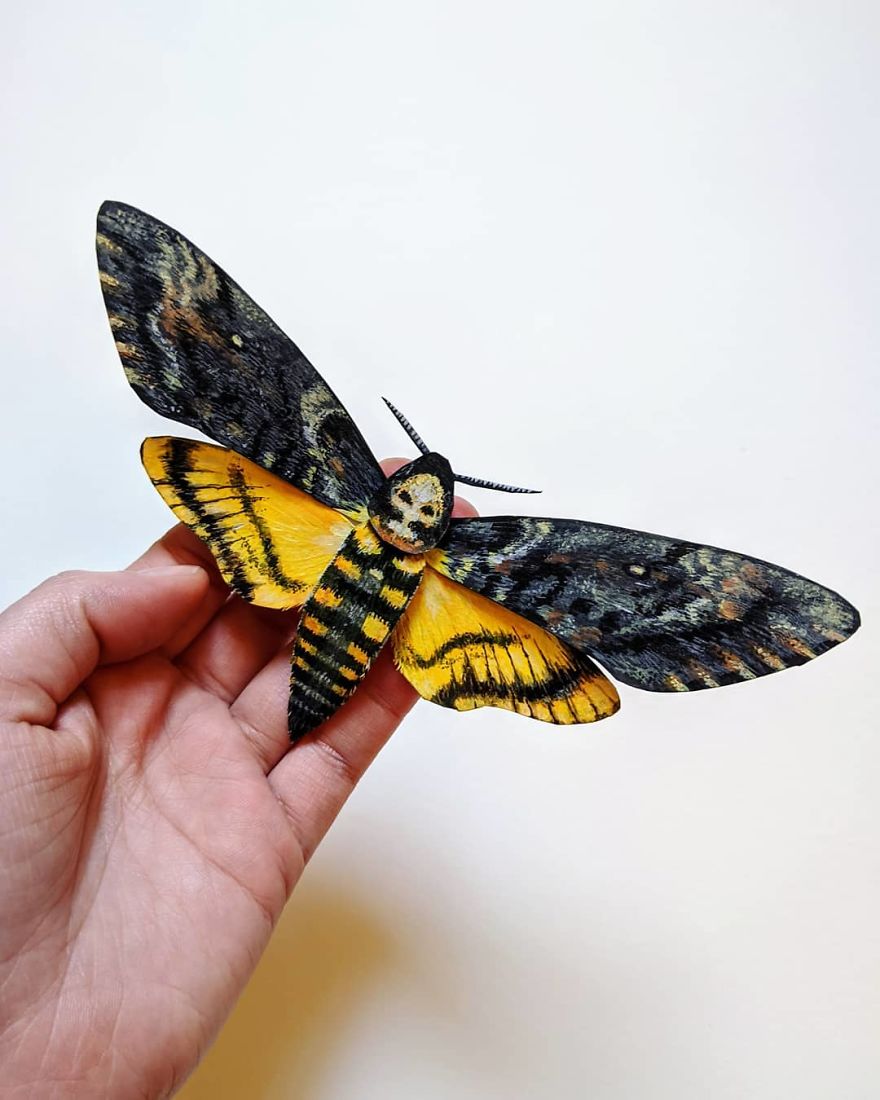 Intricate Paper Sculptures Of Butterflies And Beetles By Kerilynn Wilson (14)