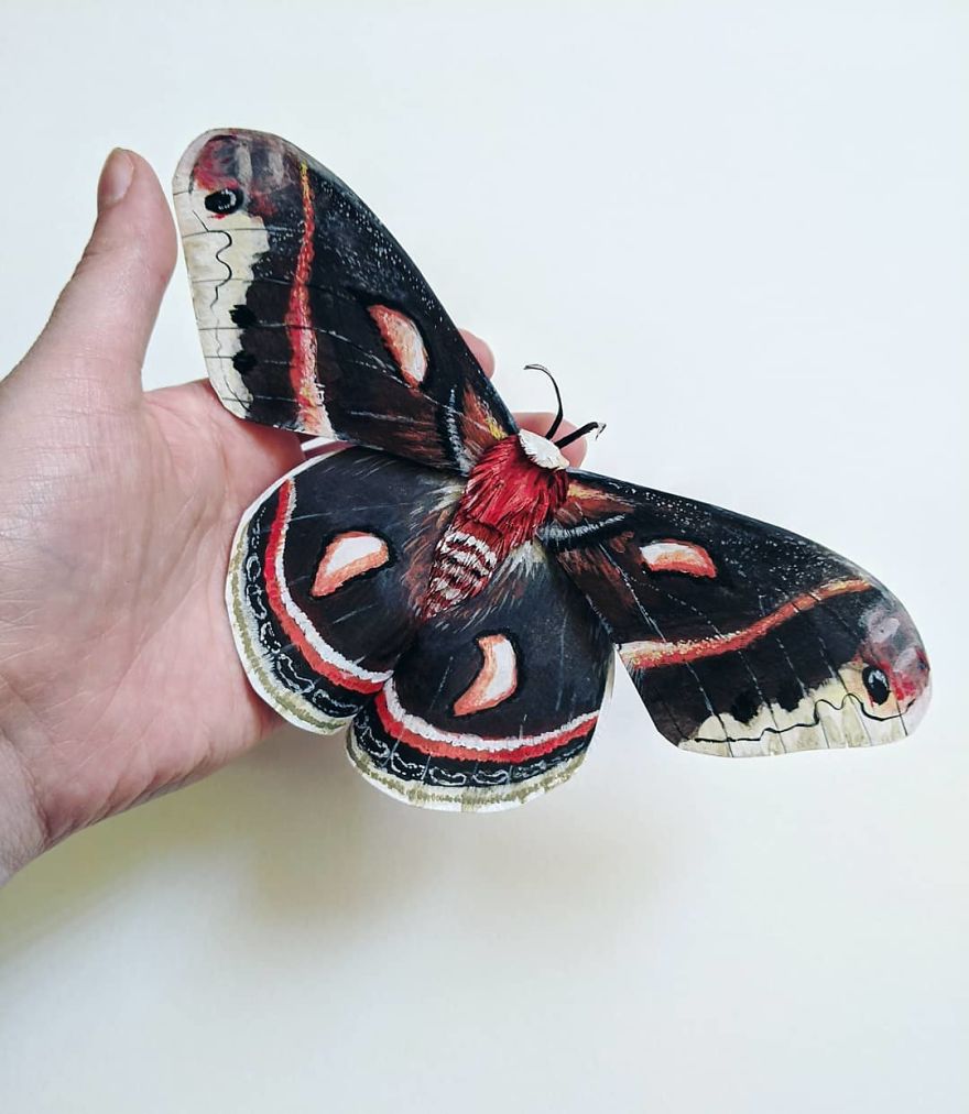 Intricate Paper Sculptures Of Butterflies And Beetles By Kerilynn Wilson (1)