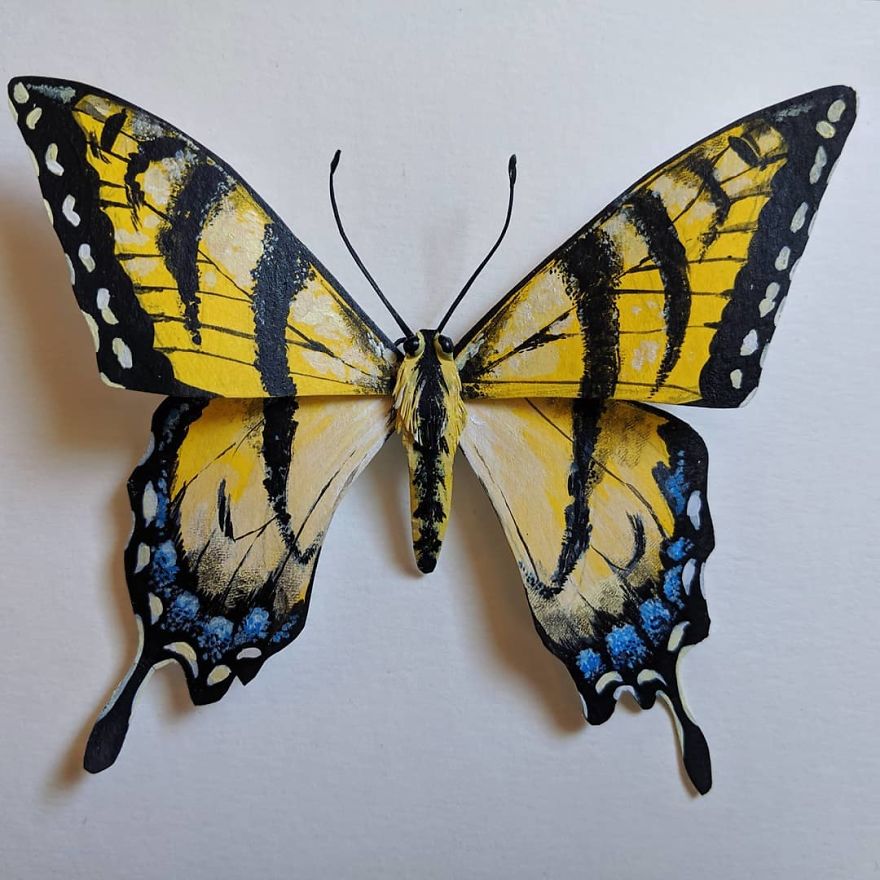 Intricate Paper Sculptures Of Butterflies And Beetles By Kerilynn Wilson (17)