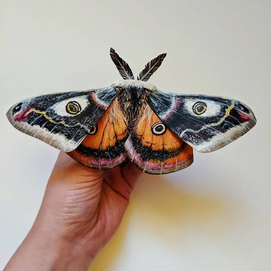 Intricate Paper Sculptures Of Butterflies And Beetles By Kerilynn Wilson (18)