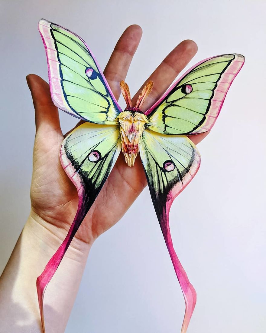 Intricate Paper Sculptures Of Butterflies And Beetles By Kerilynn Wilson (19)