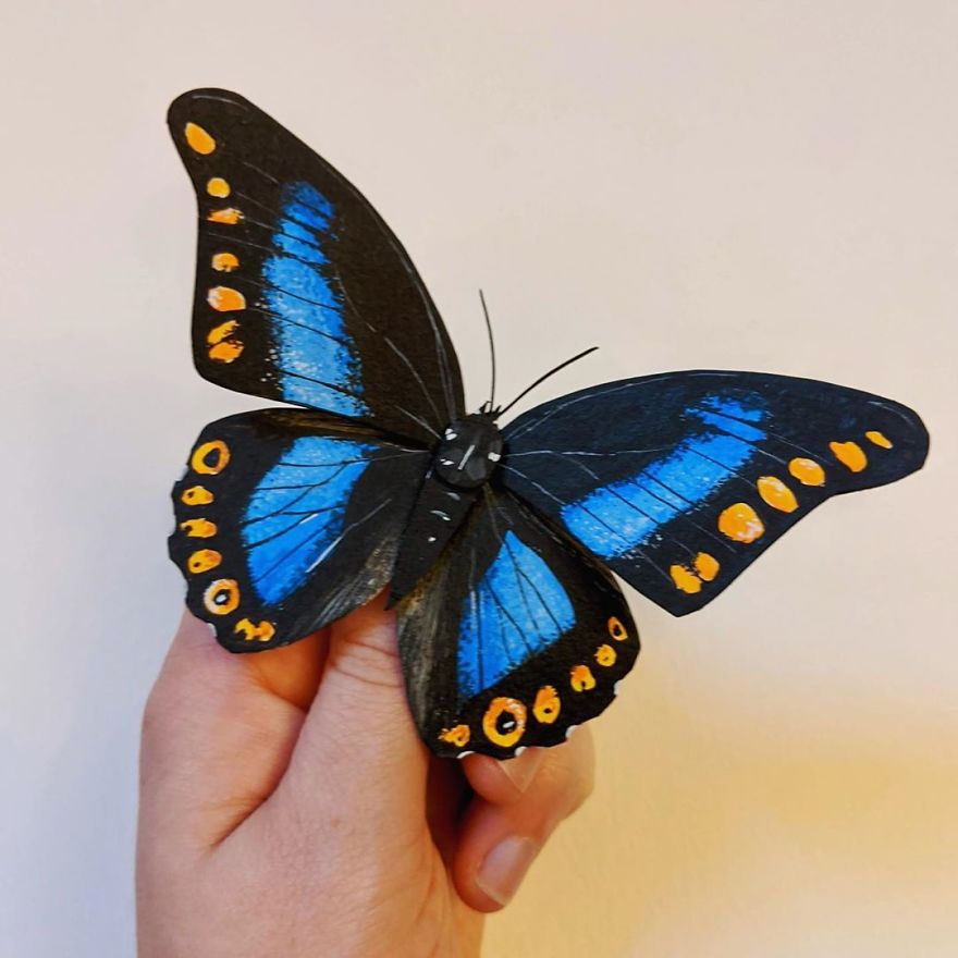 Intricate Paper Sculptures Of Butterflies And Beetles By Kerilynn Wilson (2)