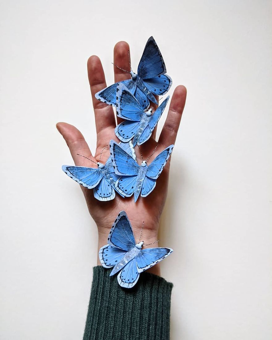 Intricate Paper Sculptures Of Butterflies And Beetles By Kerilynn Wilson (21)