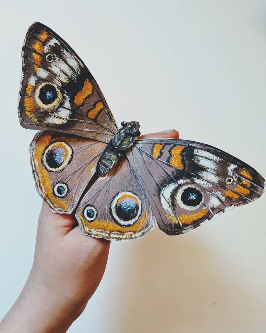 Intricate Paper Sculptures Of Butterflies And Beetles By Kerilynn Wilson (3)