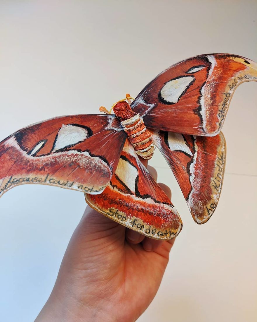 Intricate Paper Sculptures Of Butterflies And Beetles By Kerilynn Wilson (5)