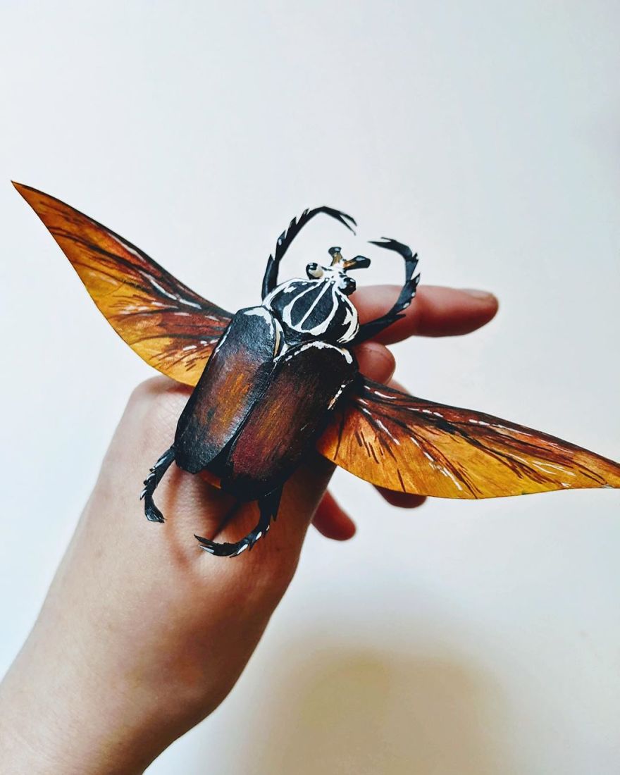 Intricate Paper Sculptures Of Butterflies And Beetles By Kerilynn Wilson (6)