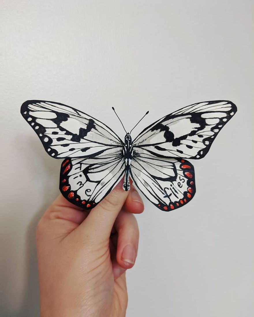 Intricate Paper Sculptures Of Butterflies And Beetles By Kerilynn Wilson (7)