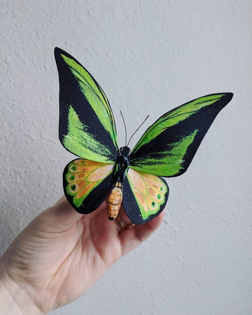 Intricate Paper Sculptures Of Butterflies And Beetles By Kerilynn Wilson (9)