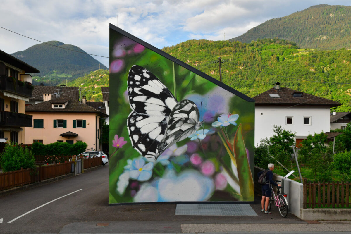 Large Scale 3d Photo Realistic Murals Of Butterflies With The Trompe L'oeil Technique By Mantra (4)