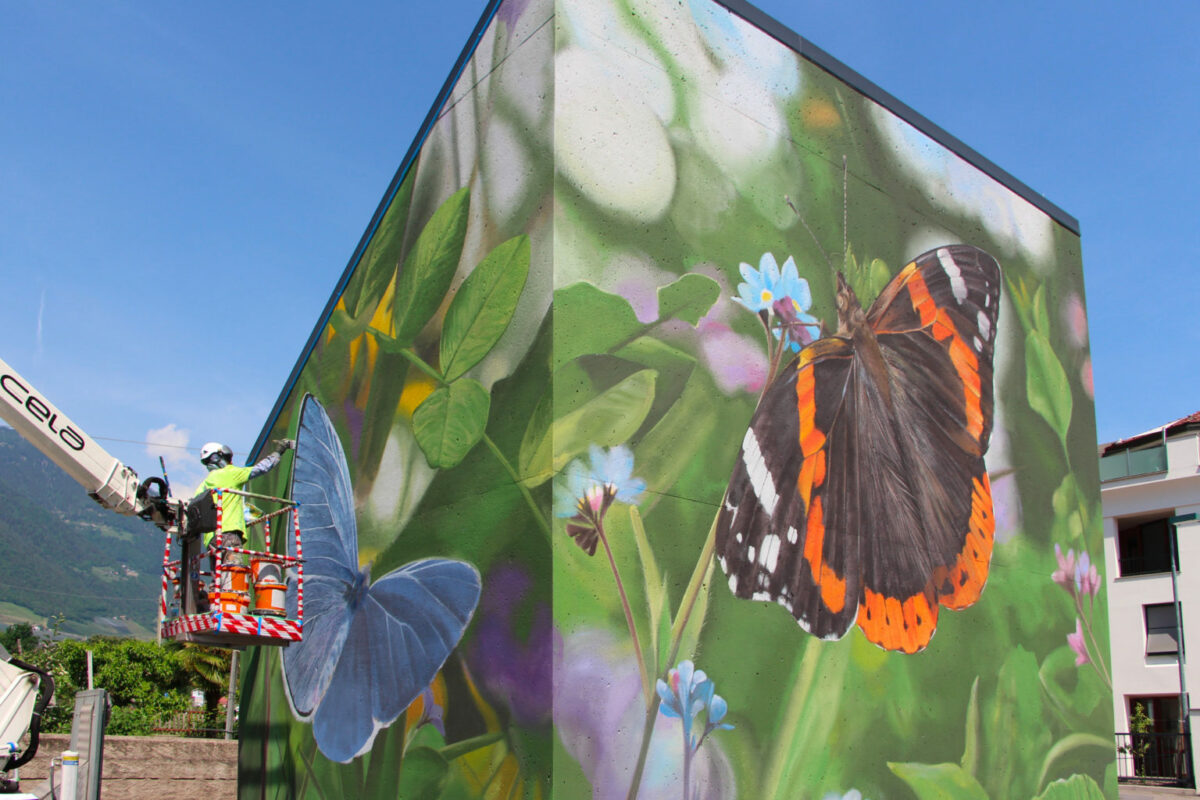 Large Scale 3d Photo Realistic Murals Of Butterflies With The Trompe L'oeil Technique By Mantra (6)