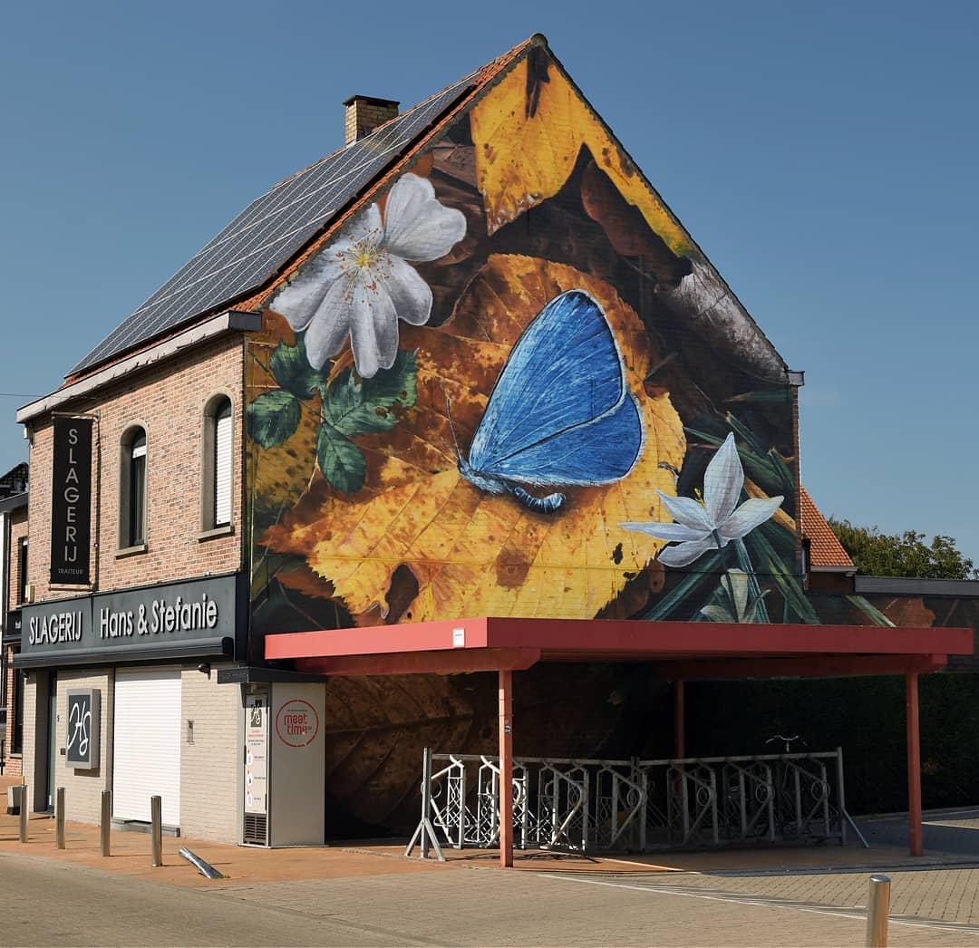 Large Scale 3d Photo Realistic Murals Of Butterflies With The Trompe L'oeil Technique By Mantra (8)