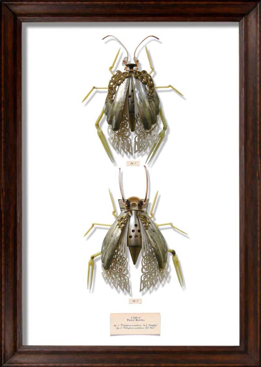Found Object Insect Project Mark Oliver: insect sculptures made from found objects