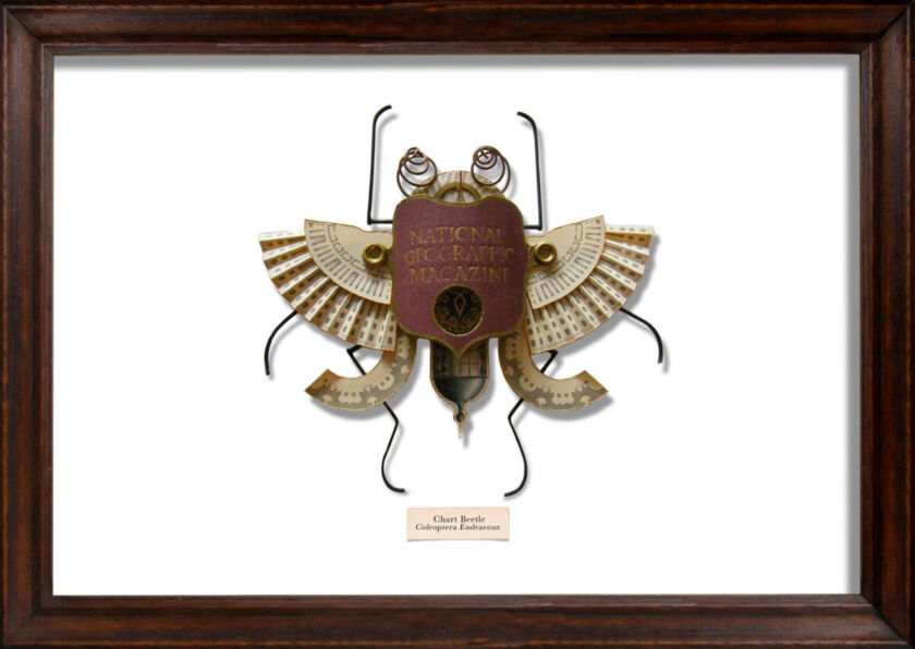 Found Object Insect Project Mark Oliver: insect sculptures made from found objects