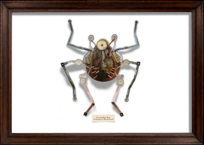 Found Object Insect Project Mark Oliver: insect sculptures made from found objects