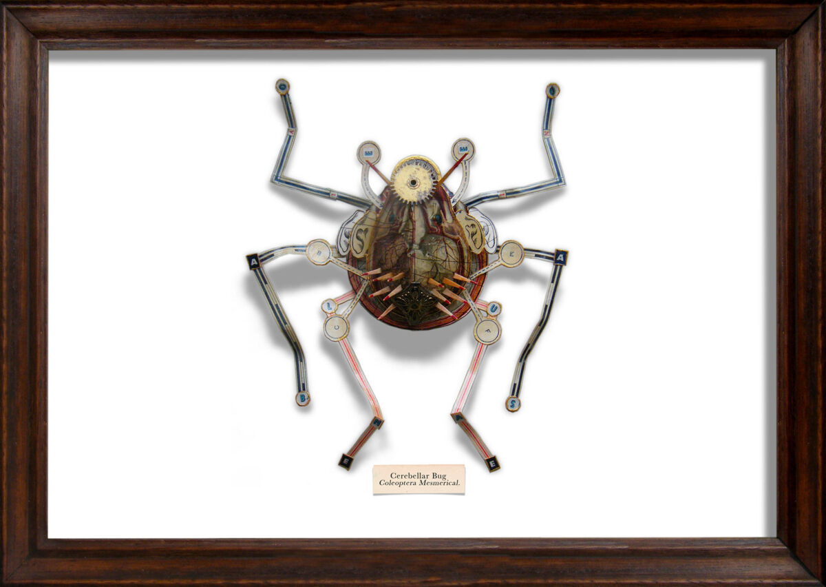Litter Bugs Incredible Insect Found Object Sculptures By Mark Oliver (21)