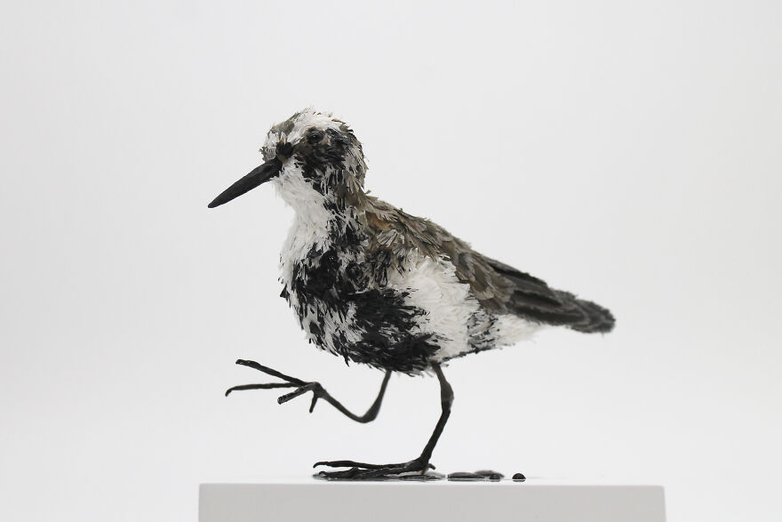 Ocean Pollution Realistic Paper Sculptures Of Animals Threatened By Pollution By Tina Kraus (9)