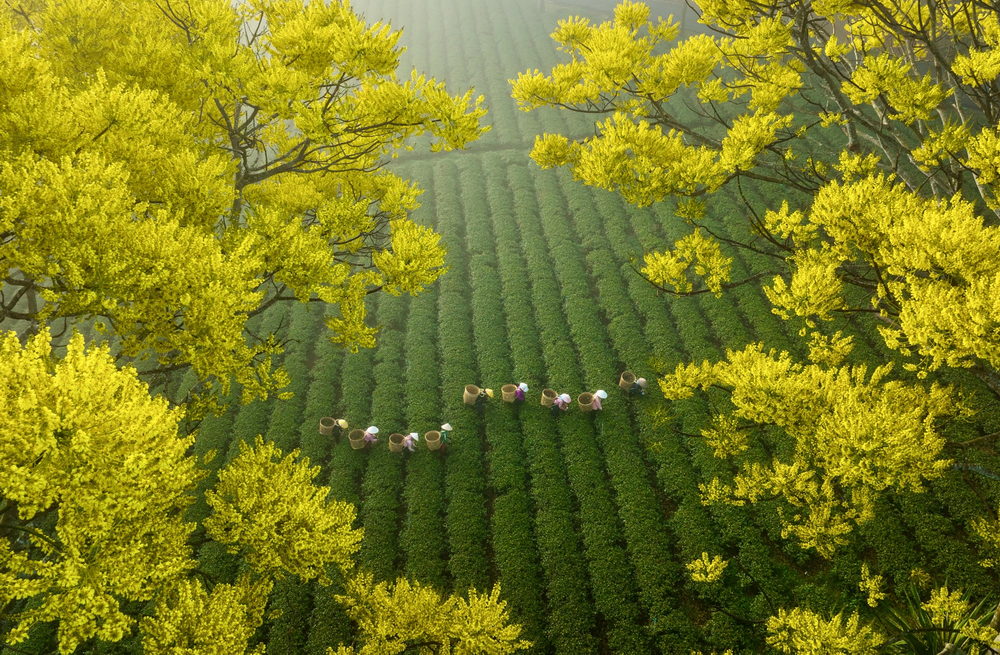 Superb Aerial Photography Of Vietnam’s Countryside By Pham Huy Trung (3)
