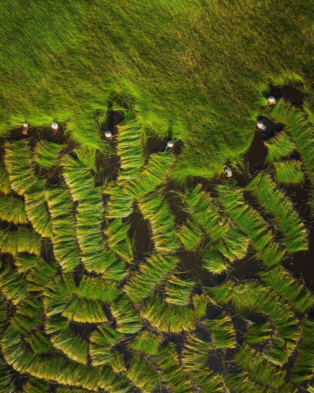 Superb Aerial Photography Of Vietnam’s Countryside By Pham Huy Trung (5)