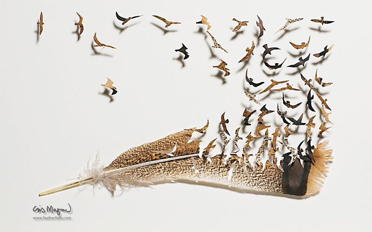 The Intricate Art Carved Out Of Feathers Of Chris Maynard (15)