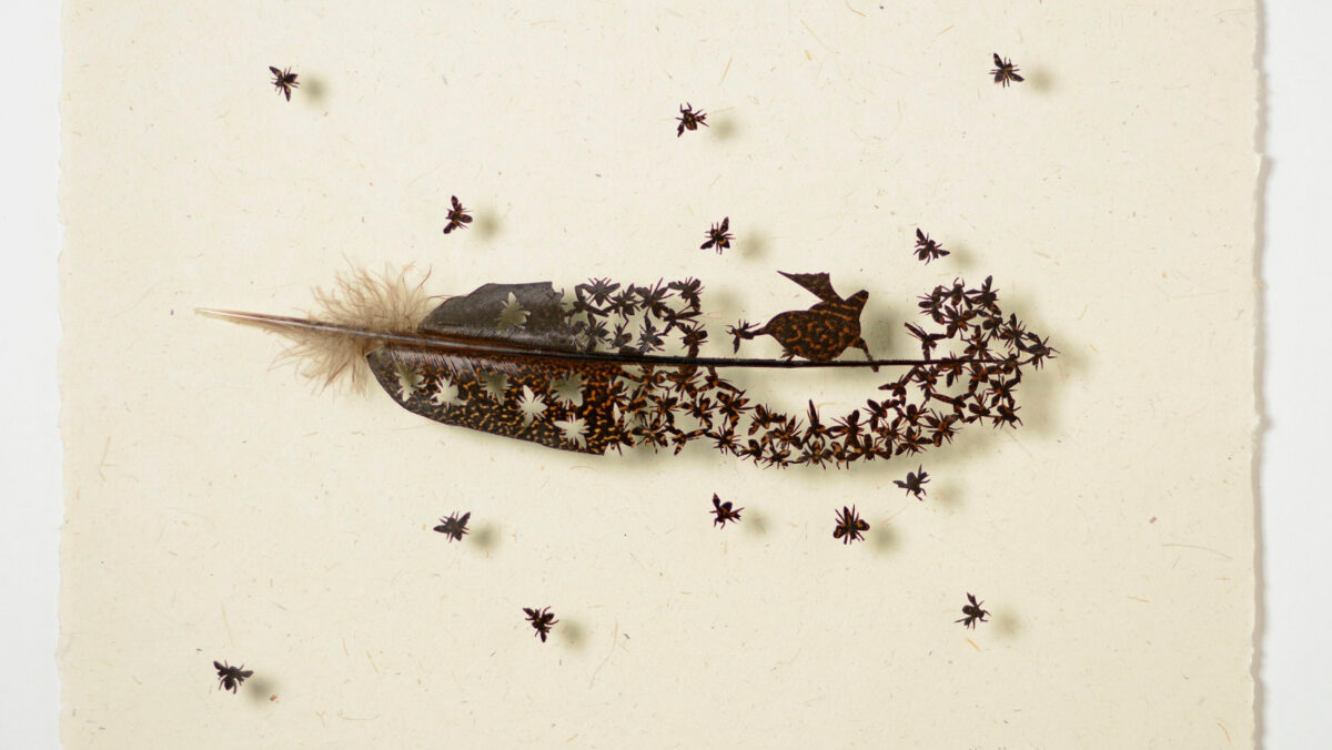 The Intricate Art Carved Out Of Feathers Of Chris Maynard (18)
