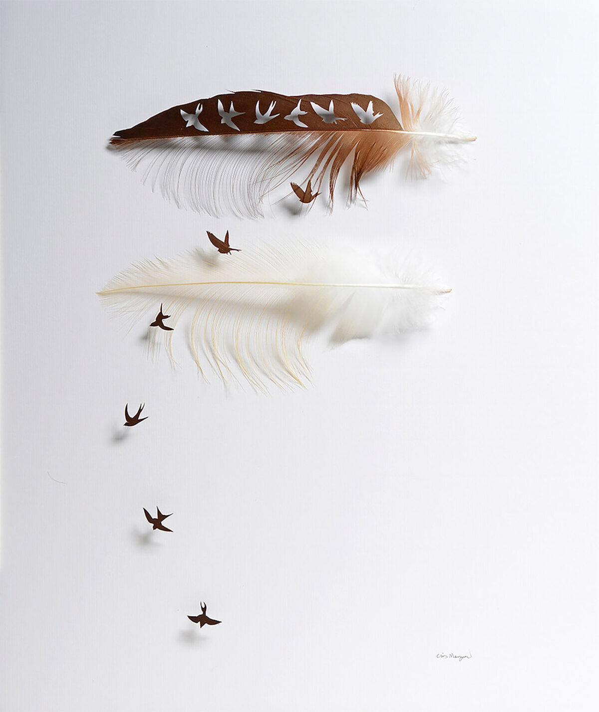 The Intricate Art Carved Out Of Feathers Of Chris Maynard (4)