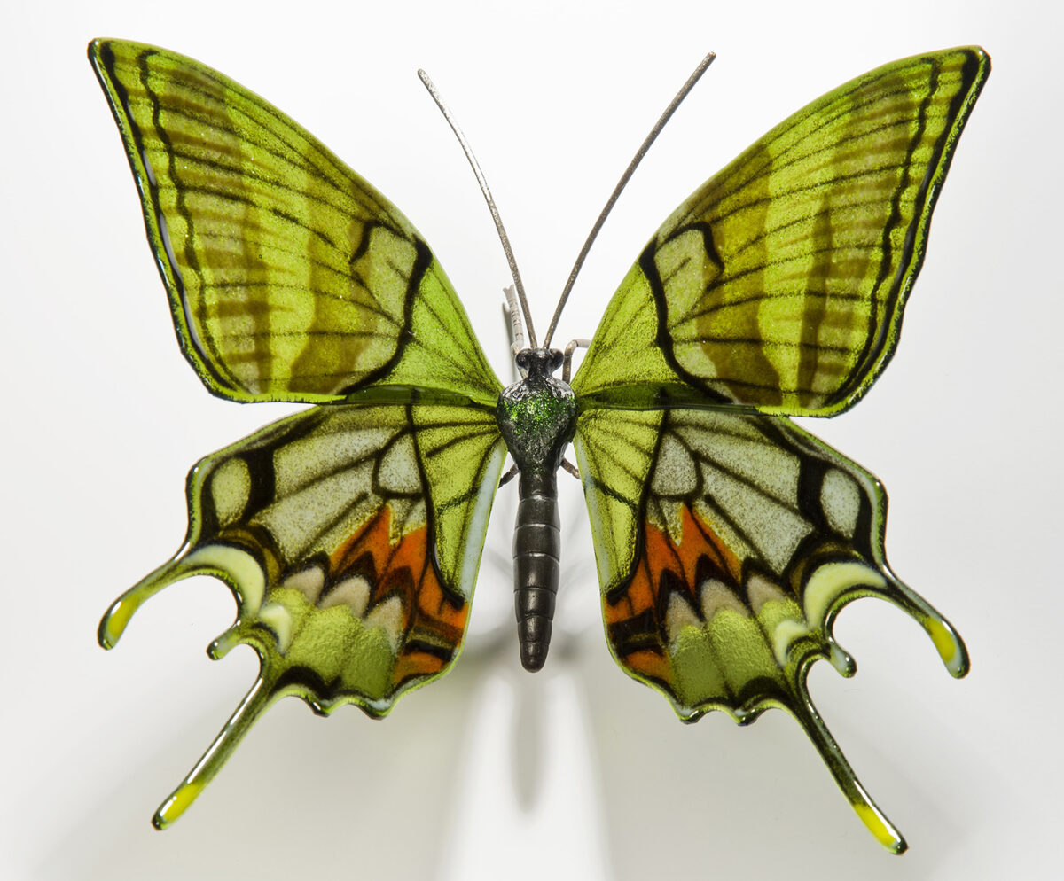 Fascinating glass sculptures of rare and endangered butterfly species by Laura Hart