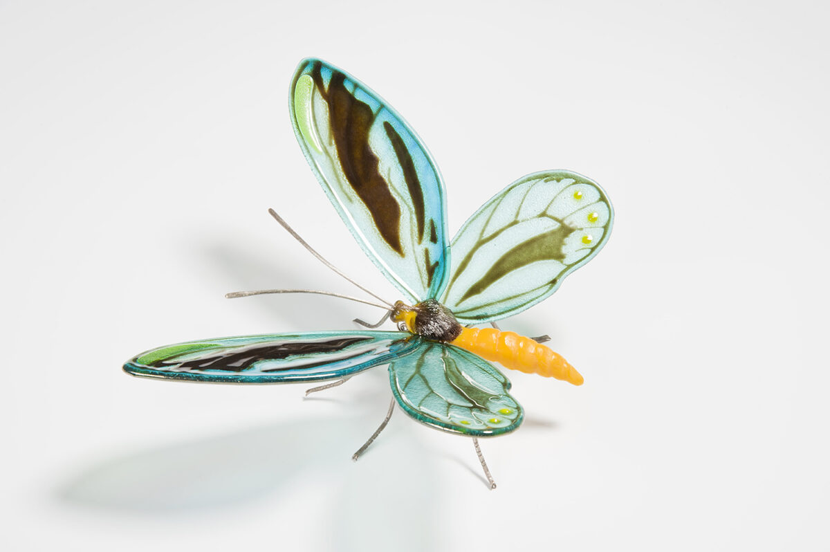 Queen Alexandra Birdwing Fascinating Glass Sculptures Of Rare And Endangered Butterfly Species By Laura Hart